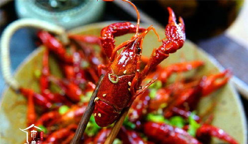 教你在家做麻辣小龍蝦,用這16種常見(jiàn)配料,吃完不再去大排檔